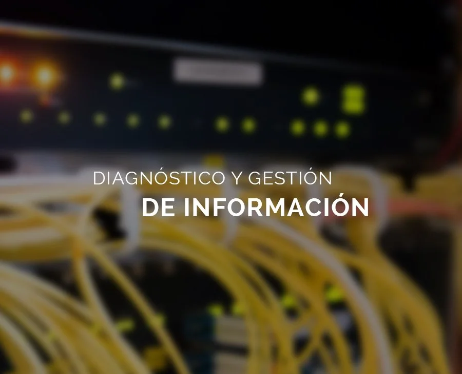 Diagnóstico2-1 Diagnóstico y gestión de información